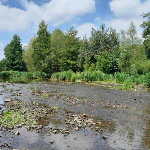 À l'écoute du vivant : la rivière